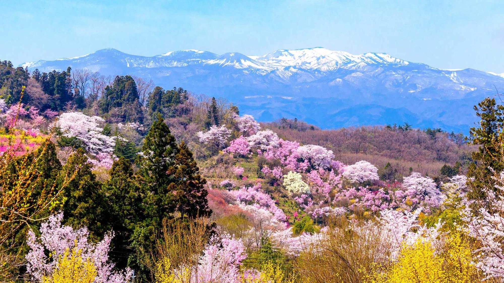Toyoko Inn Fukushima Eki Nishi Guchi Exteriör bild